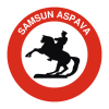 cropped-samsun-aspava-logo.png